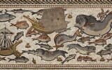 Lod mosaic. (Nicki Davidov, Israel Antiquities Authority)
