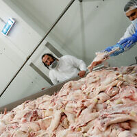 Illustrative: An Orthodox rabbi checks the quality of poultry meat in a Kosher slaughterhouse in Csengele, Hungary on January 15, 2021. (AP Photo/Laszlo Balogh)