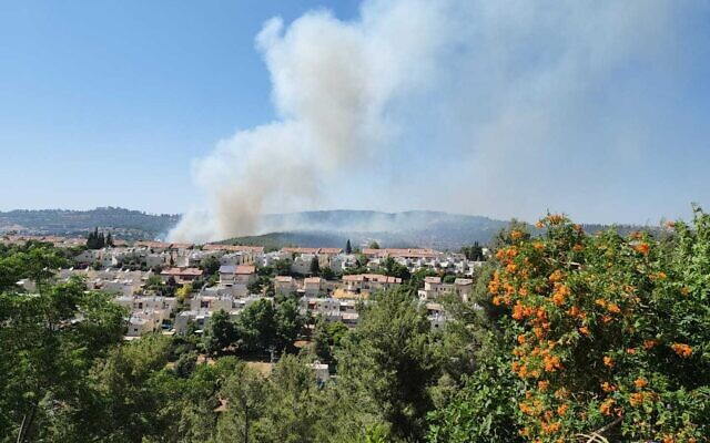 A fire rages in an open area inbetween towns northwest of Jerusalem, June 8, 2022. (Israel Police)