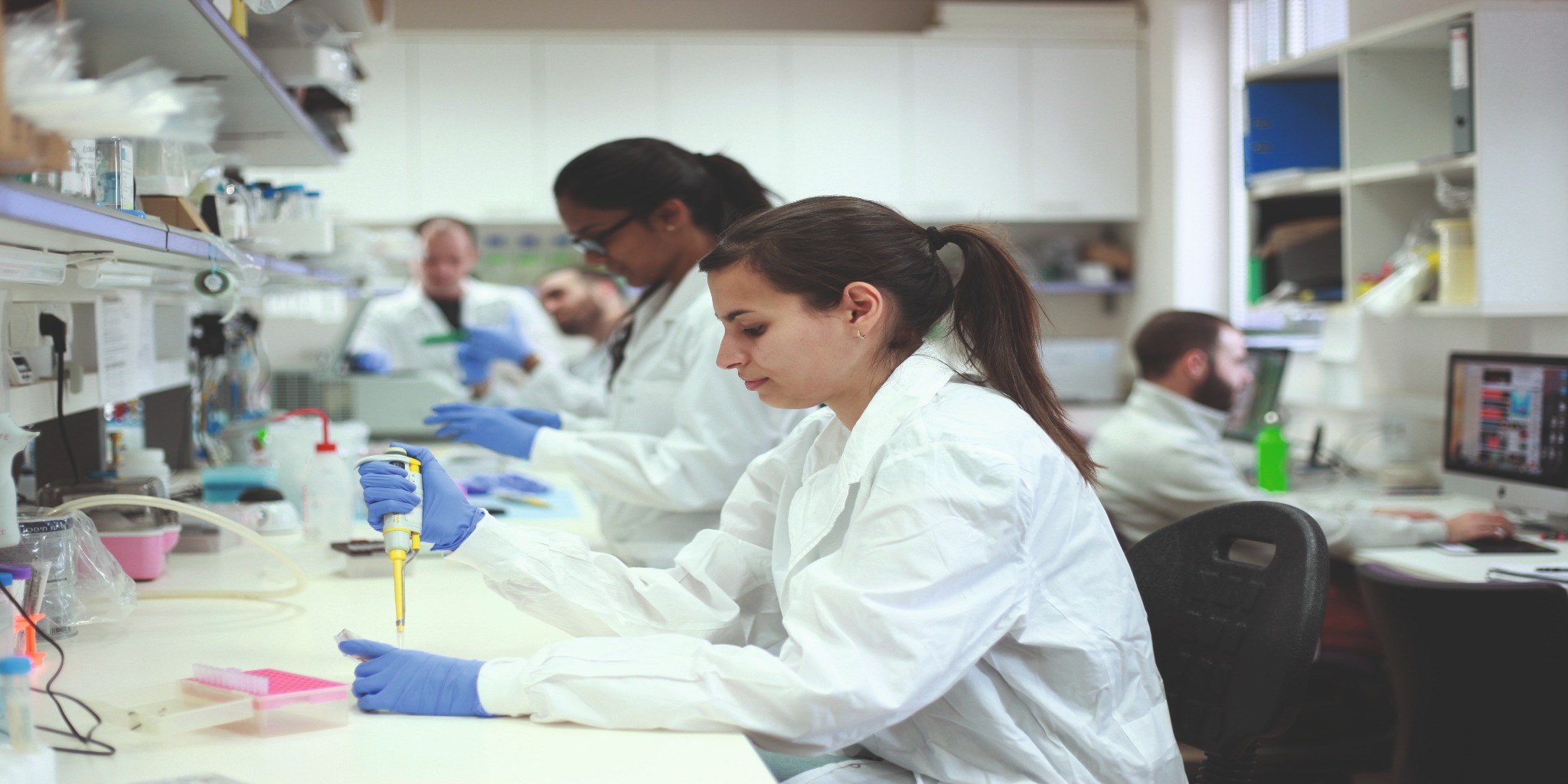 Students in a laboratory. (Credit: Ilan Besor)