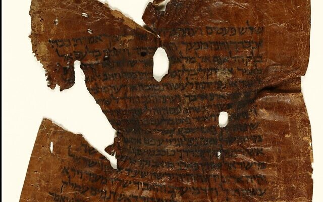 1000-year-old Yemenite Torah fragment (Amit Dekel Productions via National Library of Israel)
