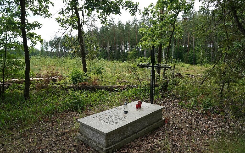 W Polsce odnaleziono masowy grób zawierający szczątki około 8000 ofiar nazizmu