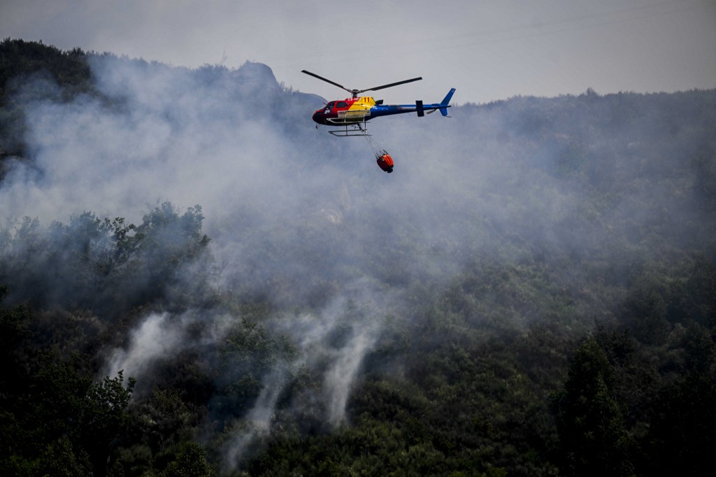 Massive forest fires cause deaths, force evacuations in scorching southwest  Europe | The Times of Israel