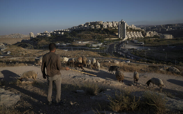 Illustrative: A Palestinian shepherd herds his flock backdropped by the Jerusalem neighborhood of Har Homa, July 6, 2022. (AP Photo/Mahmoud Illean)