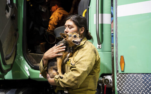 Firefighter Joanna Jimenez holds a dog she found wandering in a fire evacuation zone as the Oak Fire burns in Mariposa County, California, July 23, 2022. (AP Photo/Noah Berger)