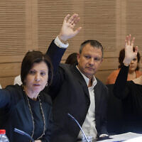 Meretz chair Zehava Galon and Labor MKs Erel Margalit and Merav Michaeli vote in the Knesset's Finance Committee on June 18, 2013. (Flash90)
