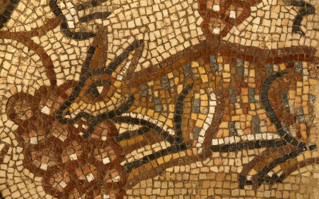 Mosaic depicting a fox eating grapes in the ancient synagogue at Huqoq in the Lower Galilee. (Jim Haberman)