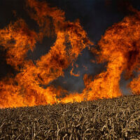 A wheat field burns after Russian shelling a few kilometres from the Ukrainian-Russian border in the Kharkiv region, Ukraine, July 29, 2022. (AP Photo/Evgeniy Maloletka)