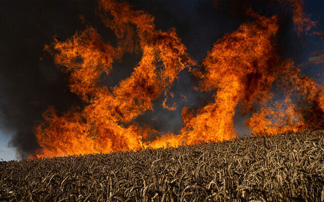 A wheat field burns after Russian shelling a few kilometres from the Ukrainian-Russian border in the Kharkiv region, Ukraine, July 29, 2022. (AP Photo/Evgeniy Maloletka)