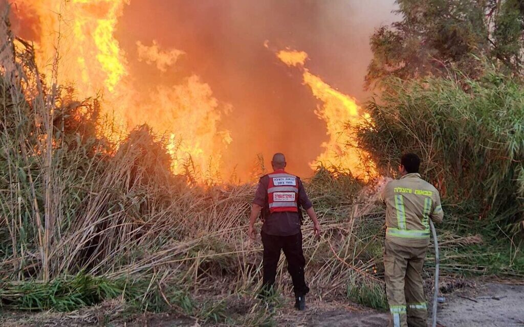 Dozens of firefighters battle blaze in Jordan Valley - Vimarsana News