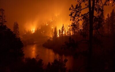 Flames burn near the Klamath River during the McKinney Fire in the Klamath National Forest northwest of Yreka, California, July 31, 2022. (David McNew/AFP)