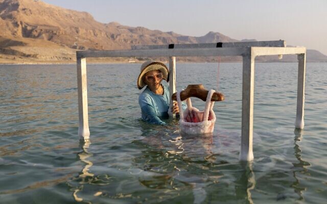 Multidisciplinary Israeli artist Sigalit Landau is pictured next to one of her artworks, submerged in the salty Dead Sea water at the Ein Bokek resort, on August 2, 2022. - (MENAHEM KAHANA / AFP)