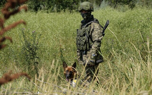 A Russian mine clearing expert with a dog works to find and defuse mines along the high voltage line in Mariupol, on the territory which is under the Government of the Donetsk People's Republic control, eastern Ukraine, July 13, 2022. (AP)