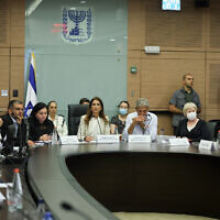 A Knesset panel debates the sexual abuse claims in Gilboa Prison, August 03, 2022.(Yonatan Sindel/FLASH90)