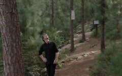 Jason Sherman wanders through an Israeli pine forest in search of his tree, as seen in 'My Tree' documentary film. (John Minh Tran)