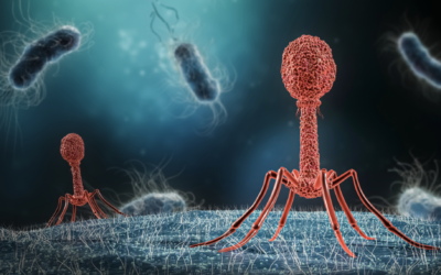 Illustrative image: Viruses, known as phages, infecting bacteria. The Weizmann Institute has developed pages which it says could counter harmful bacteria in the bowel. (libre de droit via iStock by Getty Images)