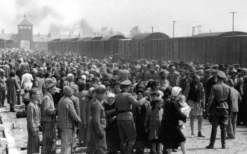 Jews undergoing selection on the ramp at Auschwitz in 1944. Visible in the background is the famous entrance to the camp. Some veteran inmates are helping the newcomers. (Public Domain)