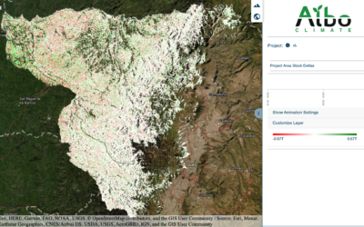 Screenshot of an interactive map showing a section of a forest in Ecuador in which the red denotes lack of Above-Ground Carbon, green indicates an increase and white means no change. (Courtesy: Albo Climate)