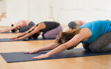 A group of people practicing yoga. (JackF via iStock by Getty Images)
