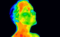 A thermographic image of a human face and neck showing different temperatures (AnitaVDB; iStock by Getty Images)