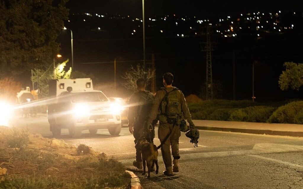 world News  Shots fired at Israeli vehicle in southern West Bank; IDF launches manhunt