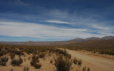 Chaco landscape in South America. (Valerio Pillar, CC BY-SA 2.0, Wikimedia Commons)