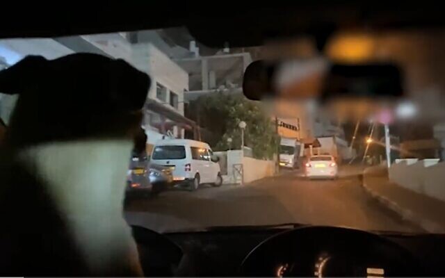 A man was arrested by Israel Police after sharing footage of him letting his dog drive. (Israel Police/screenshot)