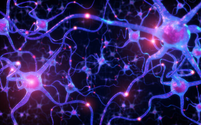 Illustrative image: neurons inside the human brain (onimate via iStock by Getty Images)