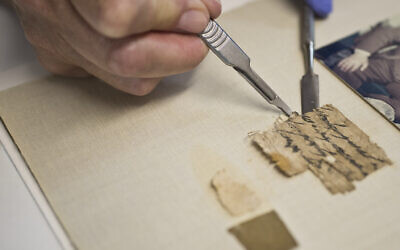 Conservation of the papyrus in the Israel Antiquities Authority Scrolls Conservation Laboratory. (Shai Halevi, Israel Antiquities Authority)