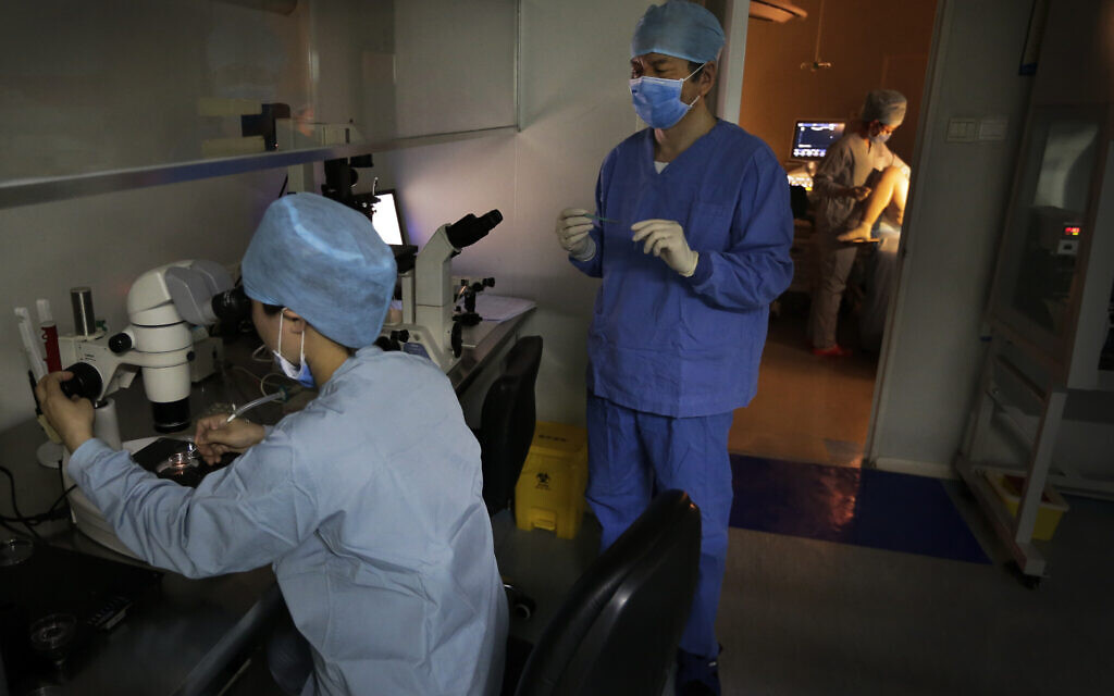 Illustrative: Medical staff work on a laboratory dish during an infertility treatment through in vitro fertilization (IVF) for a patient at a hospital in Beijing,  April 24, 2016. (AP Photo/Andy Wong)