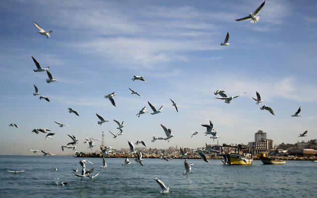 Gulls fly over the Mediterranean Sea at the Gaza port, in Gaza City, February 8, 2022. (AP Photo/Hatem Moussa)