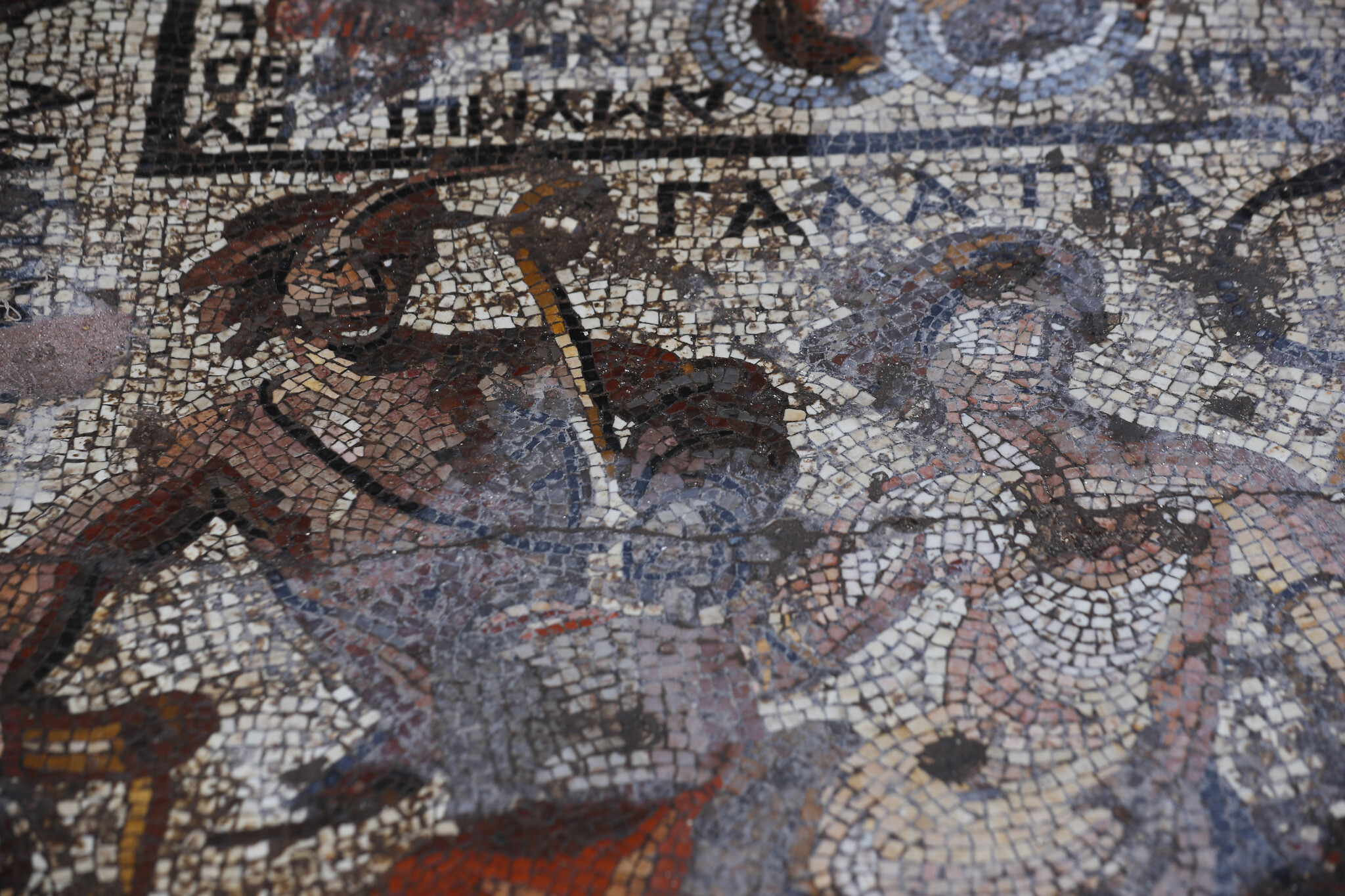 Syria unveils ancient Roman mosaic deemed most important find since conflict began | The Times of Israel