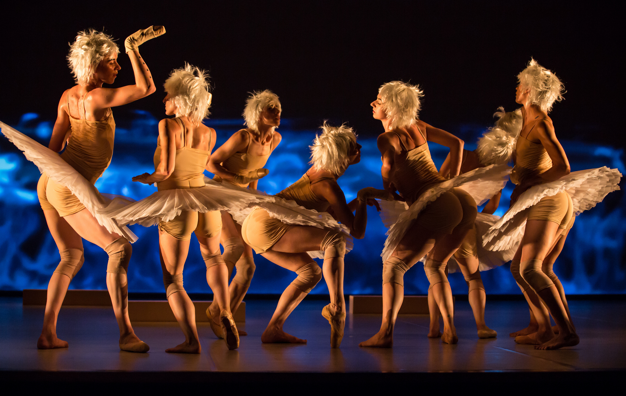 Four Swan Lake homages swim onto Tel Aviv stage The Times of Israel