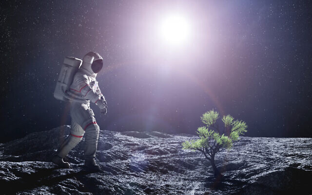 An artist's rendering of how plants may look growing in space. (NiseriN via iStock by Getty Images)