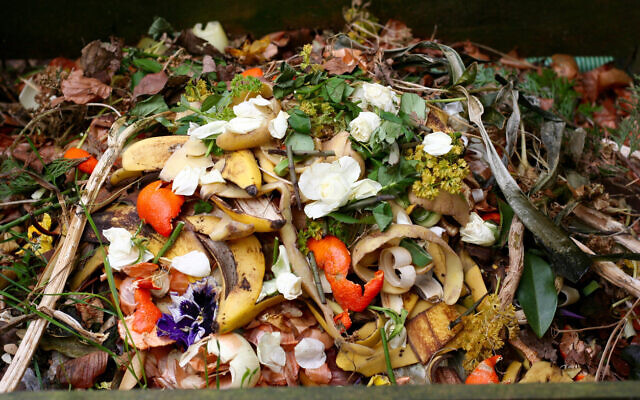 An illustrative photo of organic waste for composting. (Maerzkind via iStock by Getty Images)