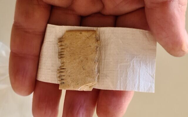 A 17th century BCE inscription in early Canaanite script from Lachish, incised on an ivory lice comb. (Daniel Vanstub)