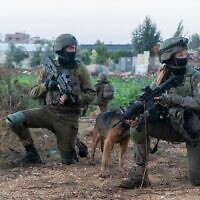 A female dog handler from the elite Oketz unit is seen during an arrest raid in the West Bank, early November 17, 2022. (Israel Defense Forces)