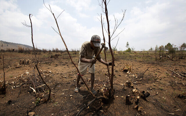 A farmer chops down what is left of a tree in a burnt down forest in Ankazobe, Madagascar, Nov. 5, 2022 (AP Photo/Alexander Joe, File)