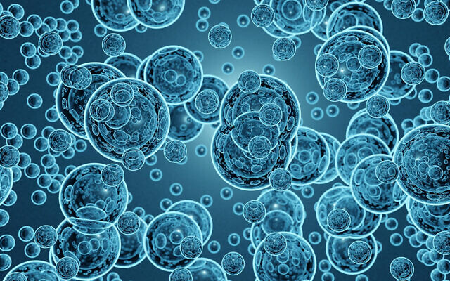 Illustrative image: minute gas bubbles similar to those used in the new Tel Aviv University method for exploding tumors (Love Employee via iStock by Getty Images)