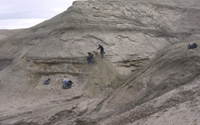 Professors Eske Willerslev and Kurt H. Kjaer expose fresh layers for sampling of sediments at Kap Kobenhavn, Greenland. (Svend Funder via AP)
