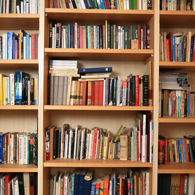 A bookcase in an Israeli home, March 4, 2008. (Nati Shohat/Flash90)
