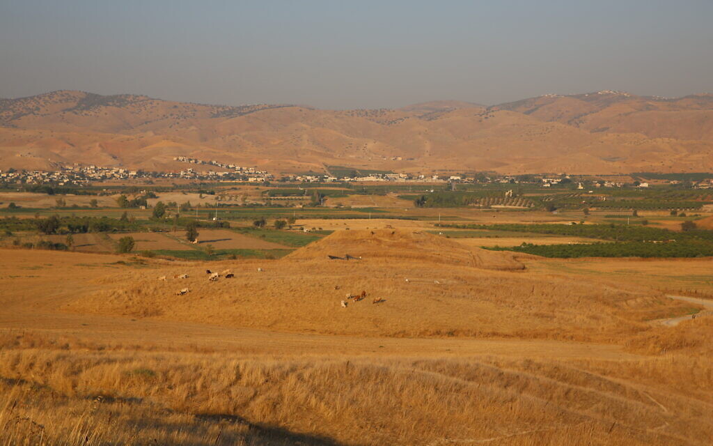 The view of Tel Tsaf towards the east, with the mountains of Jordan in the background. (Courtesy University of Haifa)