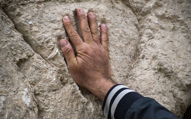 A carved hand imprint discovered in an ancient moat wall around the Old City of Jerusalem. (Yoli Schwartz/Israel Antiquities Authority)