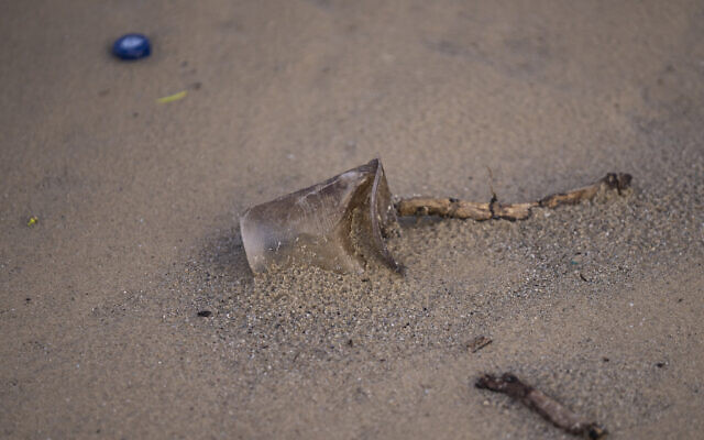 A disposable plastic cup is seen at the beach in Tel Aviv, January 9, 2023. (Oded Balilty/AP)