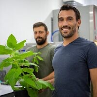 Pigmentum founders Tal Lutzky and Amir Tyroler hold up lettuce used to produce animal-free milk protein. (Courtesy)