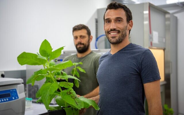 Pigmentum founders Tal Lutzky and Amir Tyroler hold up lettuce used to produce animal-free milk protein. (Courtesy)