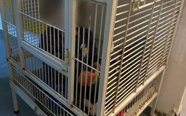 A one-year-old baby trapped inside a metal cage, found by police during a drug search operation at an apartment building in Haifa, January 15, 2023. (Israel Police)