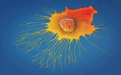 File: Illustration of a breast cancer cell (Christoph Burgstedt via iStock by Getty Images)