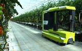 Israeli startup MetoMotion's greenhouse robotic worker  picks and packs tomatoes. (Courtesy)