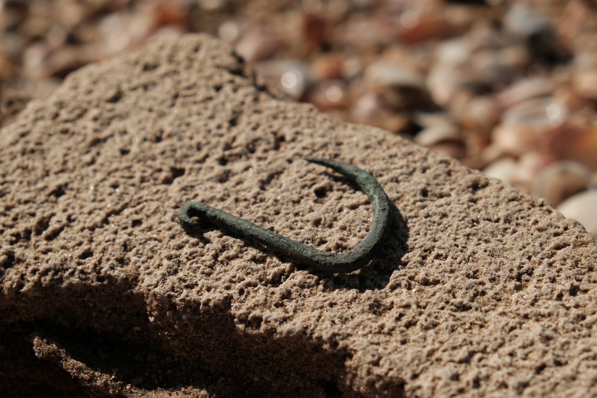 Ancient jaws: 6,000-year-old copper fishhook, oldest in region, was likely  for sharks